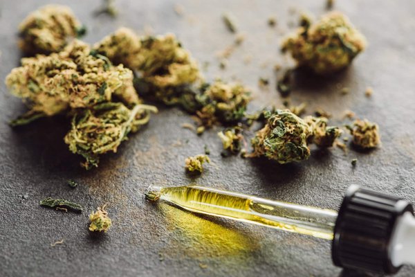 Les avantages et les propriétés potentiels de l'huile issue de la fleur de chanvre